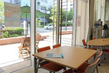 andersson Fig1 Language Support Desk